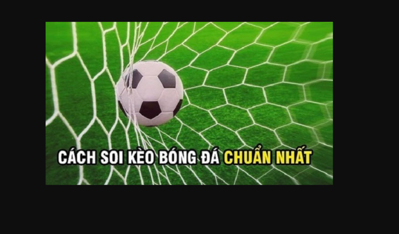 soi keo fb88 1 Nghiên cứu kỹ lưỡng về các đội tham gia
