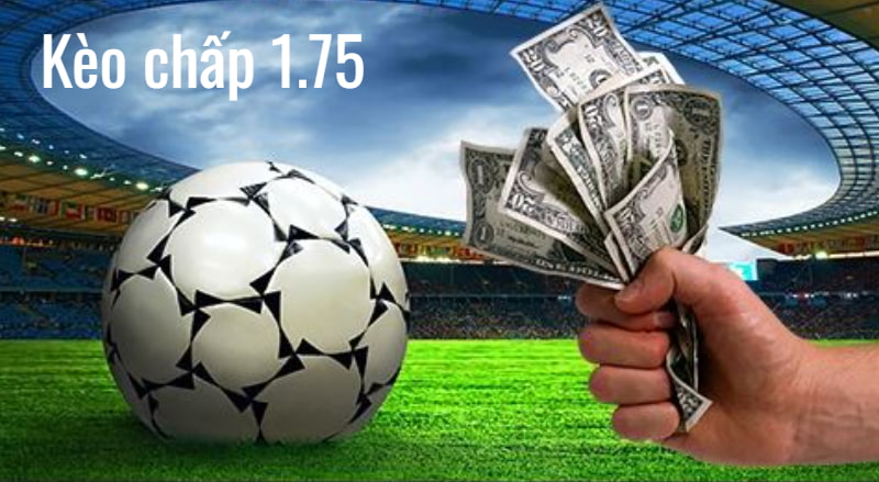 keo chap 175 2 Soi kèo cực chuẩn cùng các chuyên gia