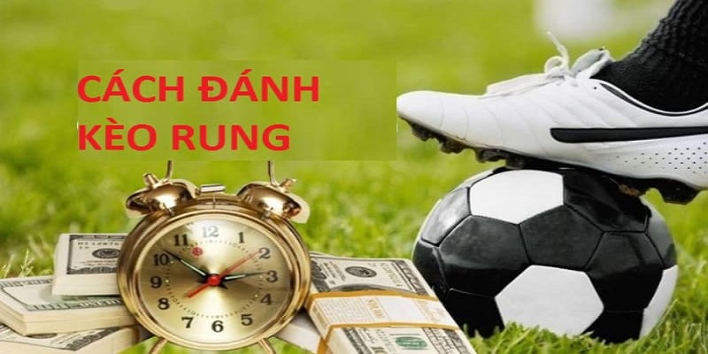 keo rung 3 Thông tin về kèo rung