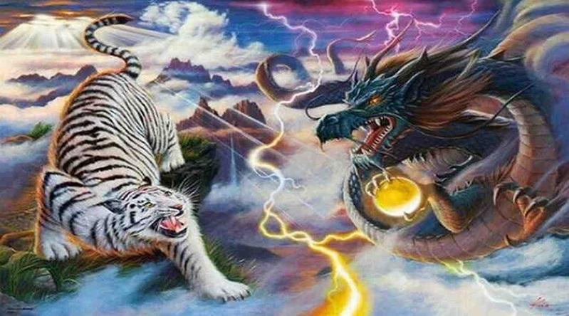 rong ho 1 Luật chơi quốc tế trong Dragon and Tiger